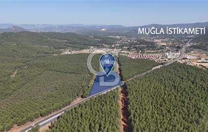 Muğla Menteş Gülağzı Emsalsiz 11.537 m² İki Parsel Satılık Arsa