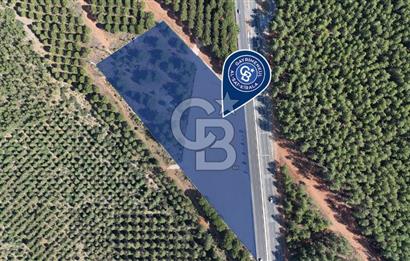 Muğla Menteş Gülağzı Emsalsiz 11.537 m² İki Parsel Satılık Arsa