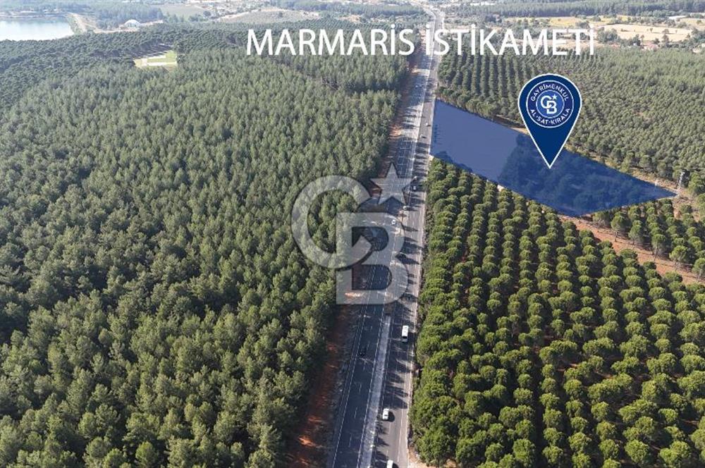 Muğla Menteş Gülağzı Emsalsiz 11.537 m² İki Parsel Satılık Arsa