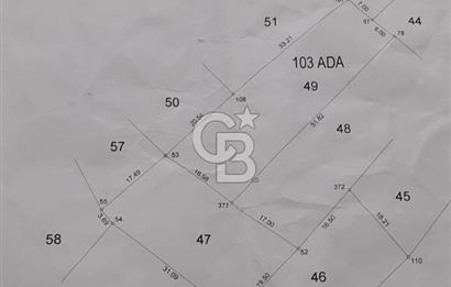 Tavas Yaka Mah. Fırsat Satılık Toplam 2003 m² 3 Adet Tarla