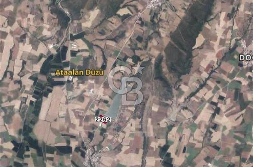 CB CITY'DEN BURSA KARACABEY'DE SATILIK TARLA