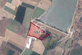 CB CITY'DEN BURSA KARACABEY'DE SATILIK TARLA