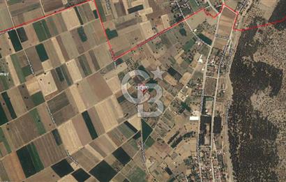 Acıpayam Yumrutaş'ta 1537 m2 Satılık Tarla