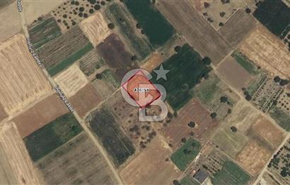 Acıpayam Yumrutaş'ta 1537 m2 Satılık Tarla