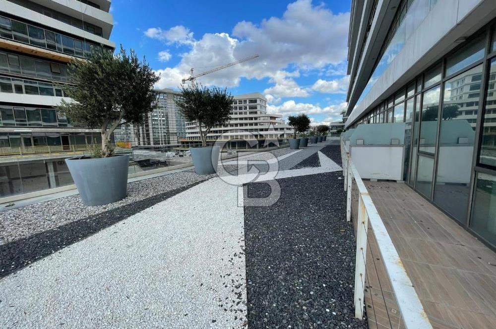 Nivo Neba İstanbul, Sıfır, Boş, Büyük Teraslı, Kiralık 2+1 Ofis