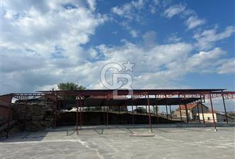 USAK'TA BUYUKBAS HAYVAN BESIHANESI