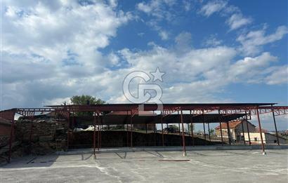 USAK'TA BUYUKBAS HAYVAN BESIHANESI