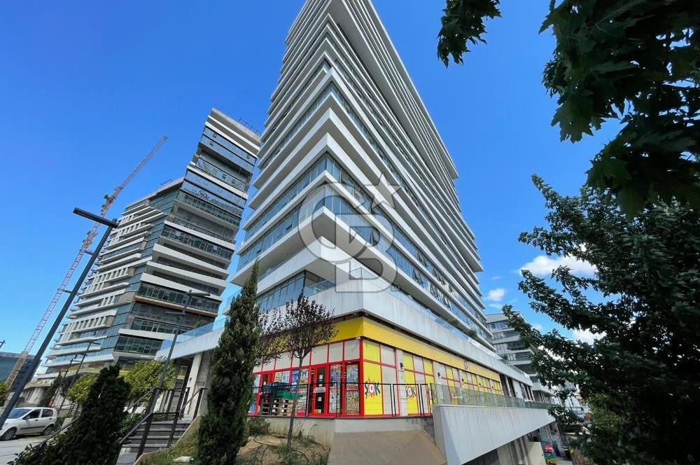 Nivo Neba İstanbul, Sıfır, Boş, Büyük Teraslı, Kiralık 2+1 Ofis