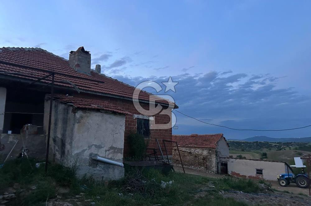 USAK'TA BUYUKBAS HAYVAN BESIHANESI