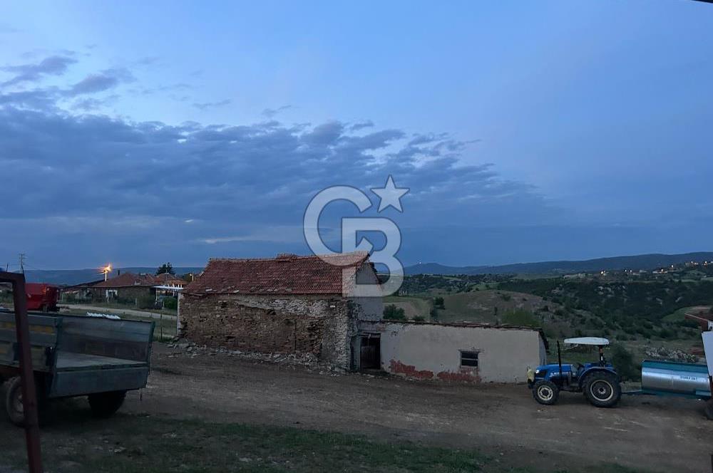 USAK'TA BUYUKBAS HAYVAN BESIHANESI