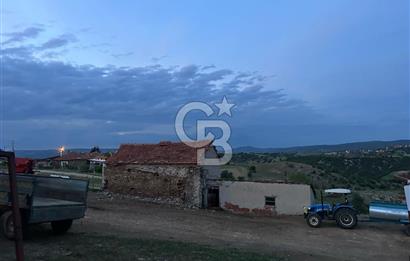 USAK'TA BUYUKBAS HAYVAN BESIHANESI