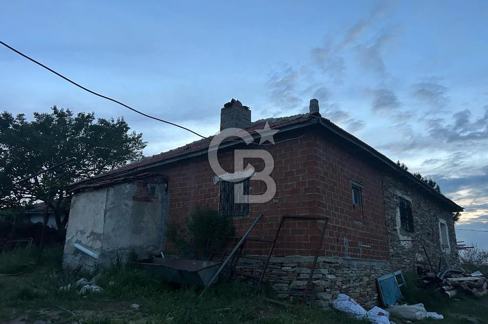 USAK'TA BUYUKBAS HAYVAN BESIHANESI