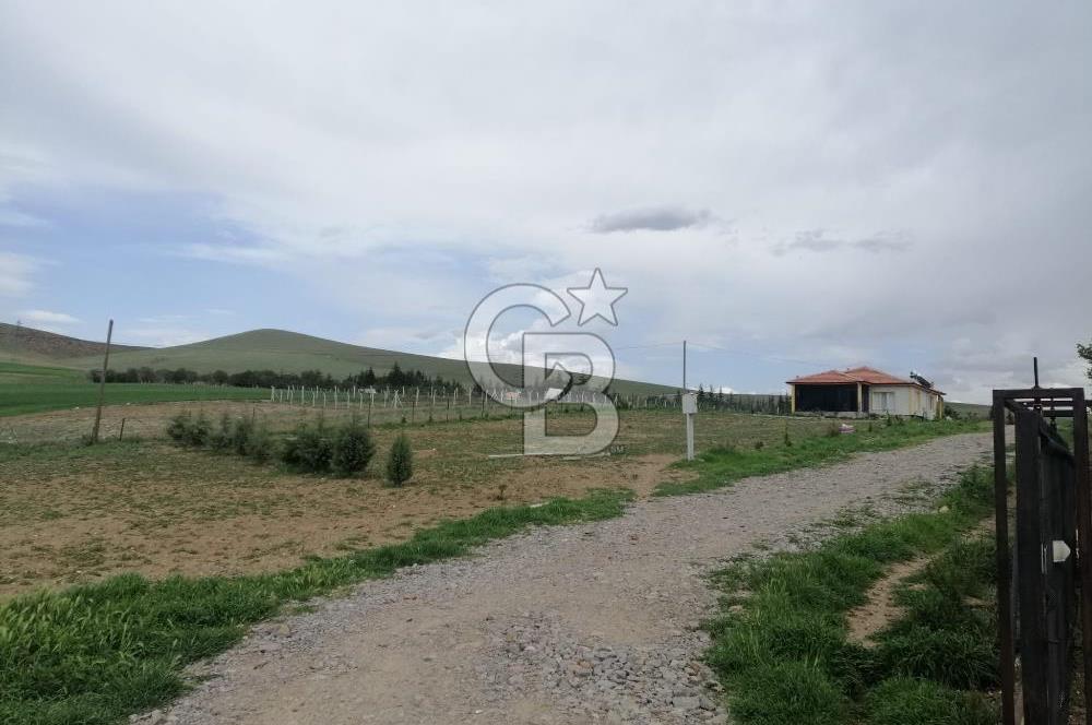GÖLBAŞI AHİBOZDA SATILIK MÜSTAKİL TAPU BAĞ YERİ 