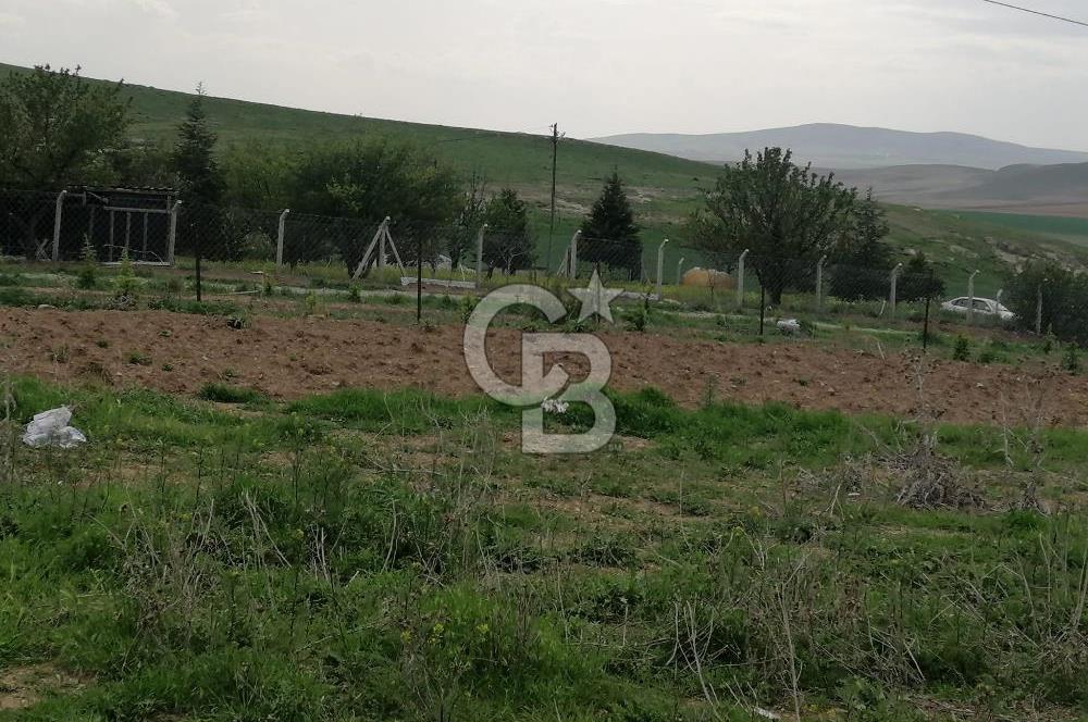 GÖLBAŞI AHİBOZDA SATILIK MÜSTAKİL TAPU BAĞ YERİ 