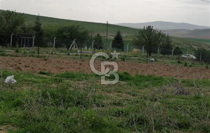 GÖLBAŞI AHİBOZDA SATILIK MÜSTAKİL TAPU BAĞ YERİ 