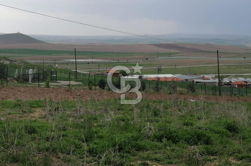 GÖLBAŞI AHİBOZDA SATILIK MÜSTAKİL TAPU BAĞ YERİ 