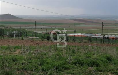 GÖLBAŞI AHİBOZDA SATILIK MÜSTAKİL TAPU BAĞ YERİ 