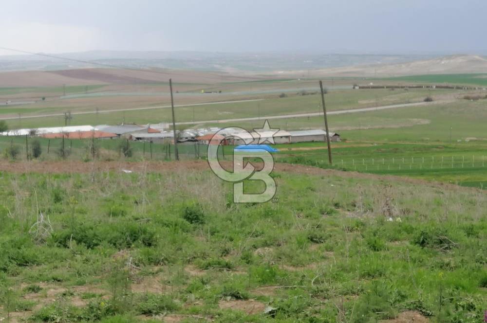 GÖLBAŞI AHİBOZDA SATILIK MÜSTAKİL TAPU BAĞ YERİ 