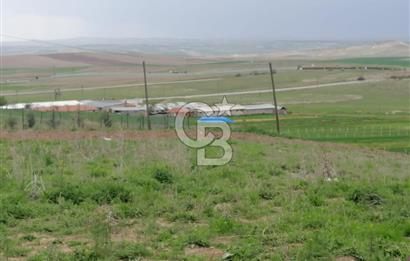GÖLBAŞI AHİBOZDA SATILIK MÜSTAKİL TAPU BAĞ YERİ 
