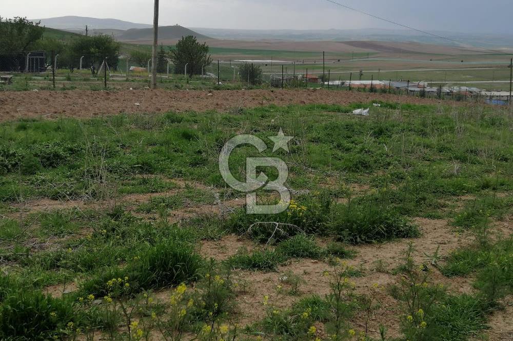 GÖLBAŞI AHİBOZDA SATILIK MÜSTAKİL TAPU BAĞ YERİ 