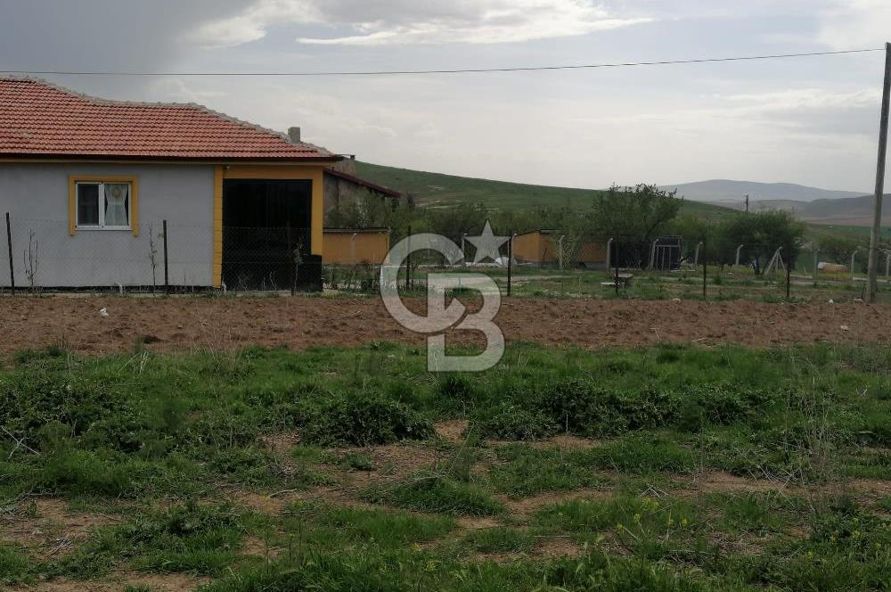 GÖLBAŞI AHİBOZDA SATILIK MÜSTAKİL TAPU BAĞ YERİ 