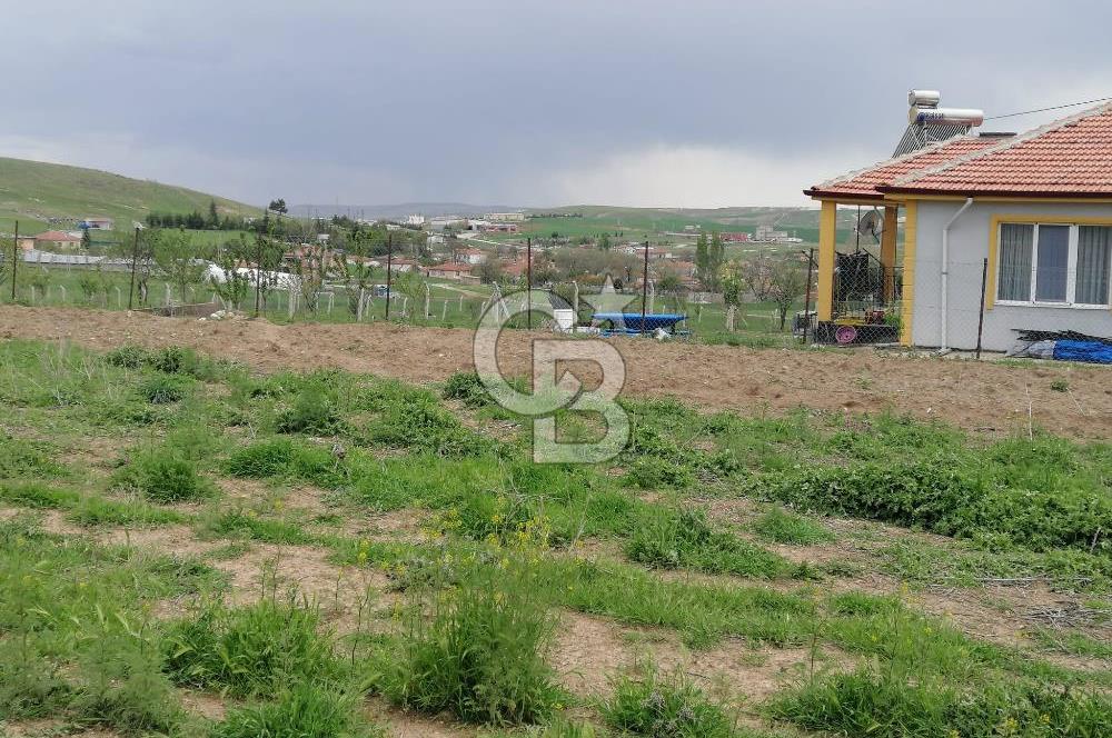 GÖLBAŞI AHİBOZDA SATILIK MÜSTAKİL TAPU BAĞ YERİ 