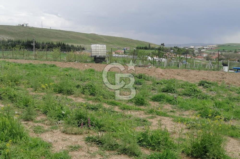GÖLBAŞI AHİBOZDA SATILIK MÜSTAKİL TAPU BAĞ YERİ 