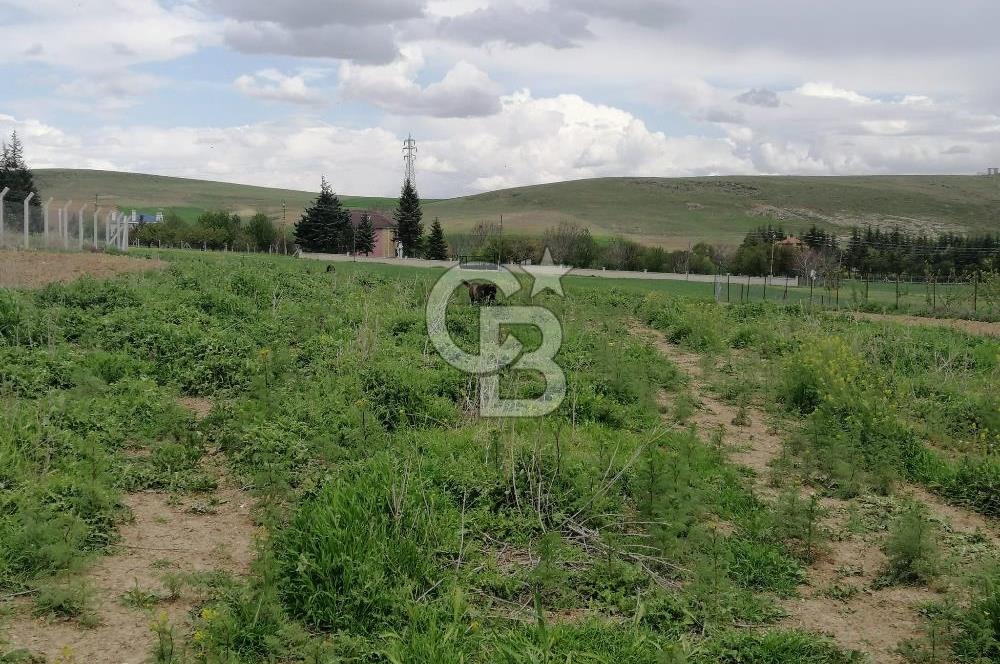 GÖLBAŞI AHİBOZDA SATILIK MÜSTAKİL TAPU BAĞ YERİ 