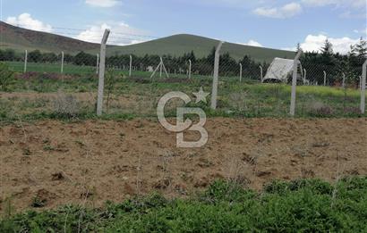 GÖLBAŞI AHİBOZDA SATILIK MÜSTAKİL TAPU BAĞ YERİ 