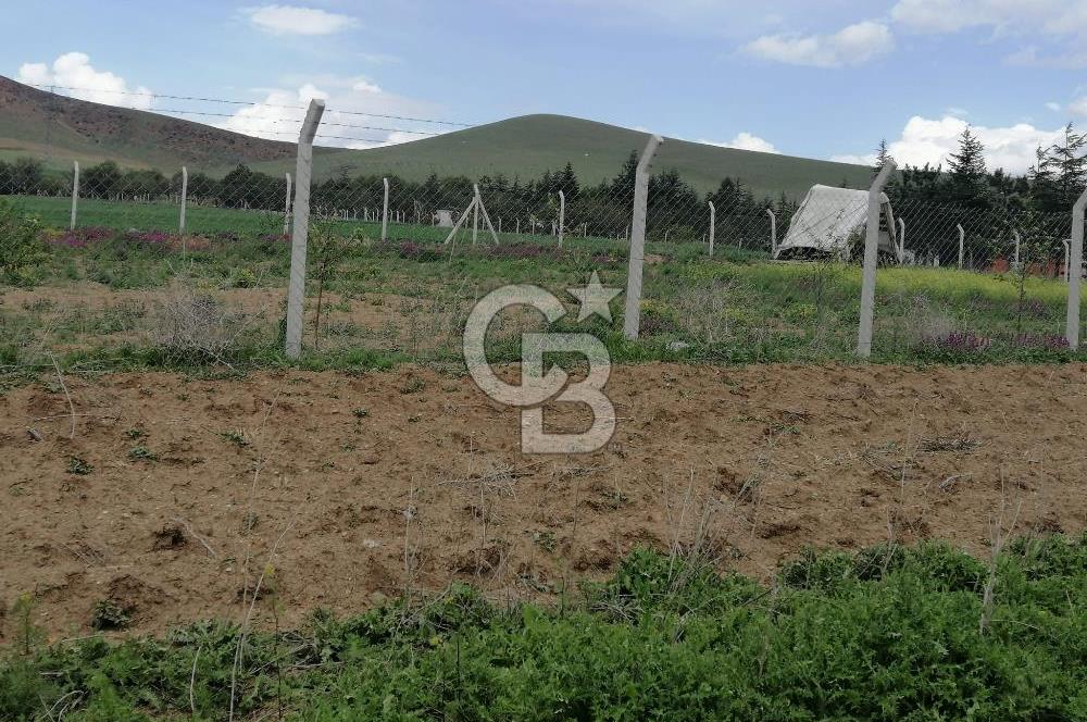 GÖLBAŞI AHİBOZDA SATILIK MÜSTAKİL TAPU BAĞ YERİ 
