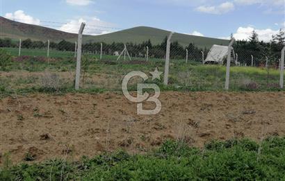 GÖLBAŞI AHİBOZDA SATILIK MÜSTAKİL TAPU BAĞ YERİ 