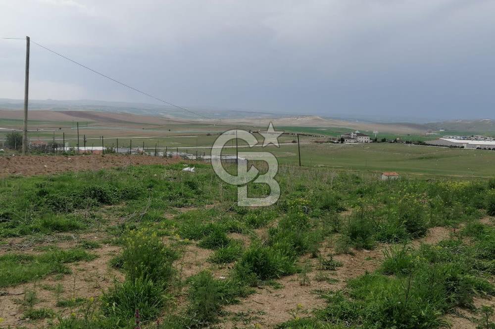 GÖLBAŞI AHİBOZDA SATILIK MÜSTAKİL TAPU BAĞ YERİ 