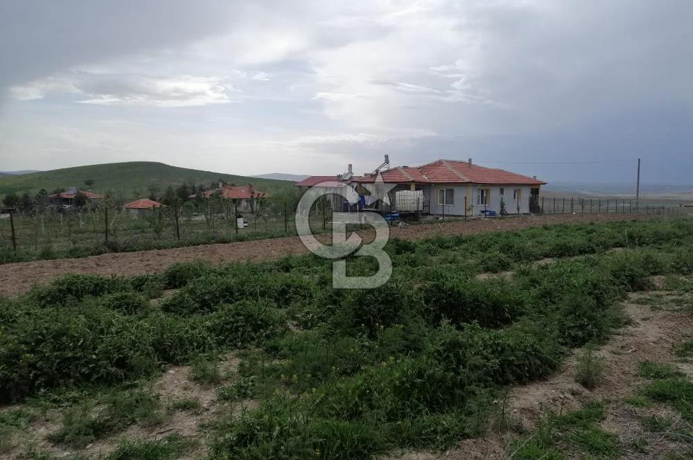 GÖLBAŞI AHİBOZDA SATILIK MÜSTAKİL TAPU BAĞ YERİ 