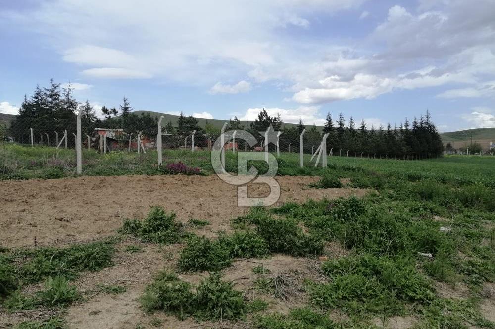 GÖLBAŞI AHİBOZDA SATILIK MÜSTAKİL TAPU BAĞ YERİ 