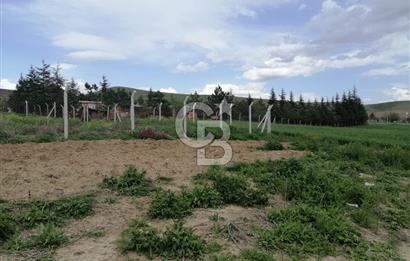 GÖLBAŞI AHİBOZDA SATILIK MÜSTAKİL TAPU BAĞ YERİ 