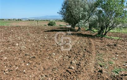 MANİSA ŞEHZADELERDE CB İYA'DAN SATILIK  TARLA