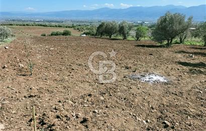 MANİSA ŞEHZADELERDE CB İYA'DAN SATILIK  TARLA
