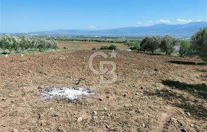 MANİSA ŞEHZADELERDE CB İYA'DAN SATILIK  TARLA