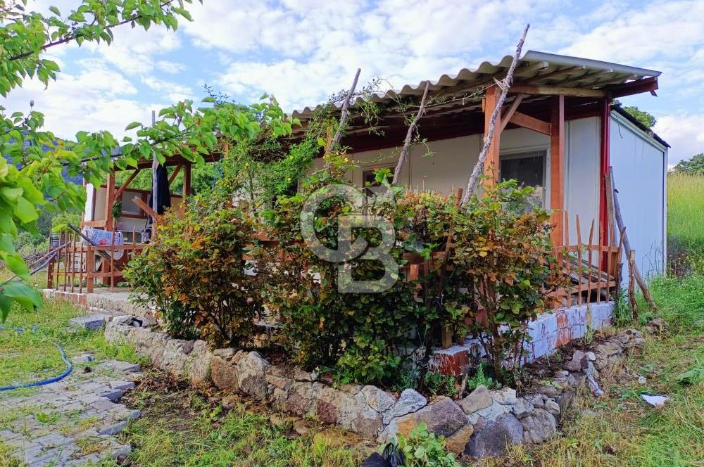 CB KiNG'DEN MUHTEŞEM BERGAMA KOZLUCADA SATILIK HOBİ BAHÇESİ