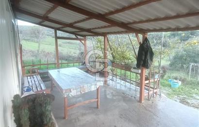 CB KiNG'DEN MUHTEŞEM BERGAMA KOZLUCADA SATILIK HOBİ BAHÇESİ