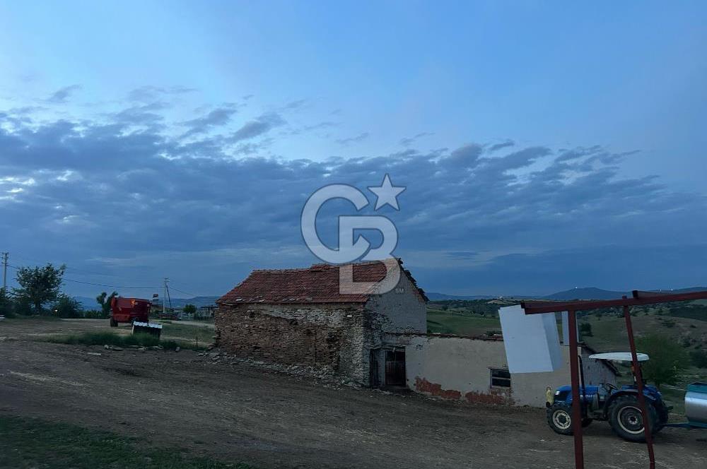 USAK'TA BUYUKBAS HAYVAN BESIHANESI