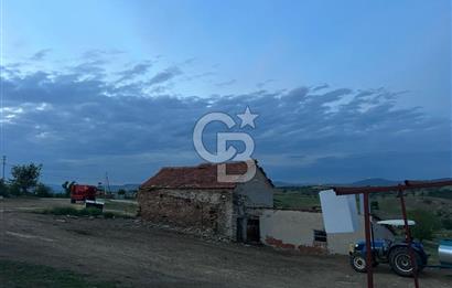 USAK'TA BUYUKBAS HAYVAN BESIHANESI