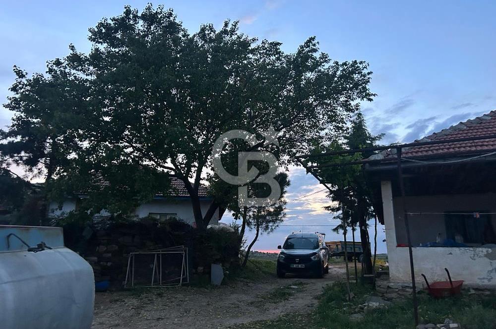 USAK'TA BUYUKBAS HAYVAN BESIHANESI