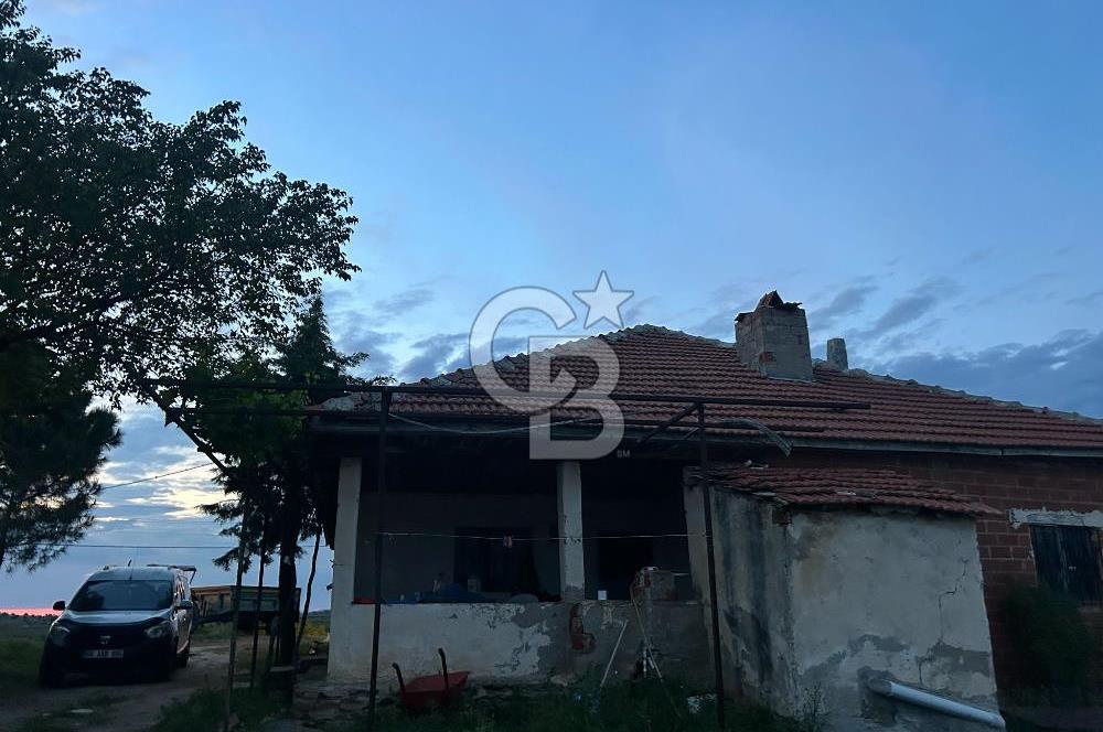 USAK'TA BUYUKBAS HAYVAN BESIHANESI