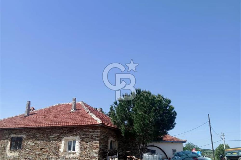 USAK'TA BUYUKBAS HAYVAN BESIHANESI