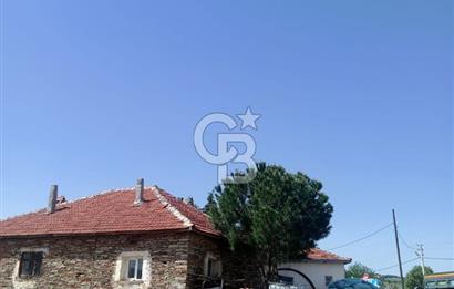 USAK'TA BUYUKBAS HAYVAN BESIHANESI