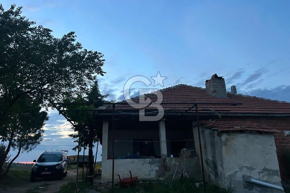 USAK'TA BUYUKBAS HAYVAN BESIHANESI