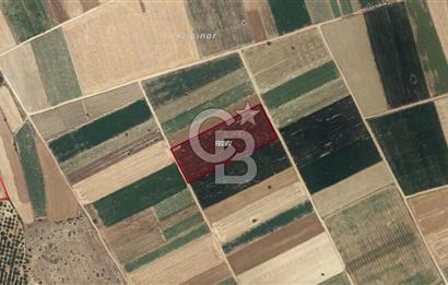 Acıpayam Yumrutaş'ta 15.690 m2 Satılık Arazi