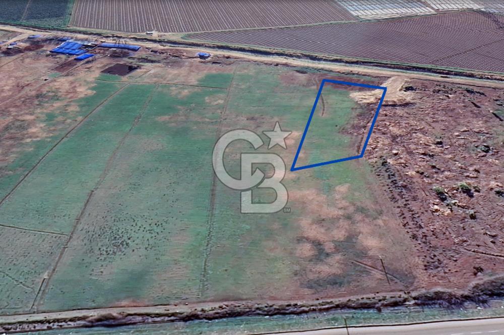 MERSİN TARSUS D-400 OTOBAN GİRİŞİ 4.097 M² SANAYİ İMARLI ARSA