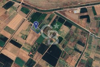 CB KiNG 'DEN GÖKÇEYAZI YENİ MAHALLE'DE SATILIK 2415 M2 TARLA